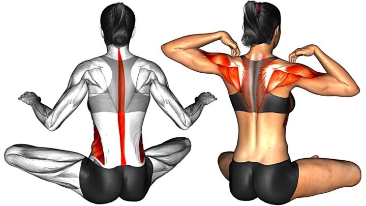 6 Min Mobility Workout