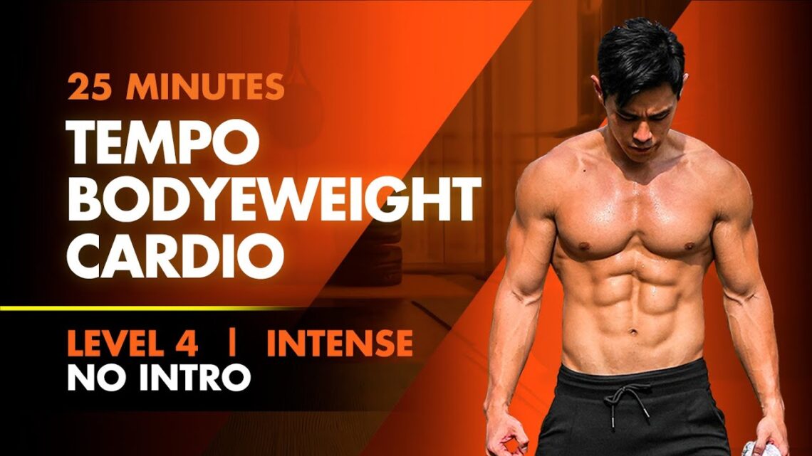 25 Minute No Intro Home Full Body Bodyweight Fartlek Intensity [Level 4]