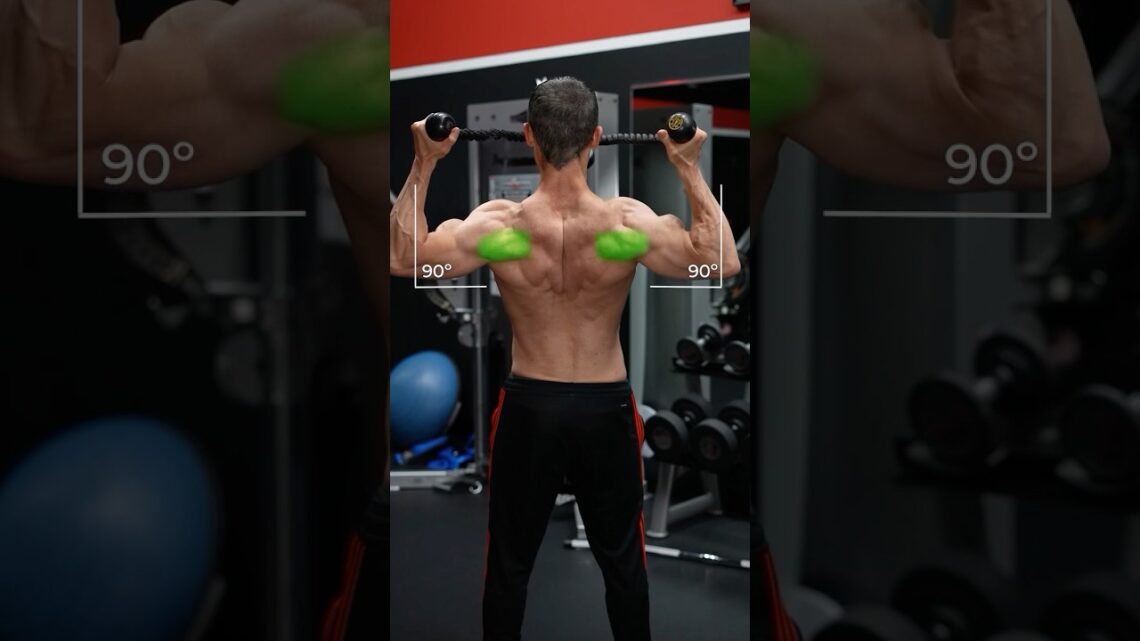 The 3 Greatest Rear Delt Exercises (NOT FLYS!)