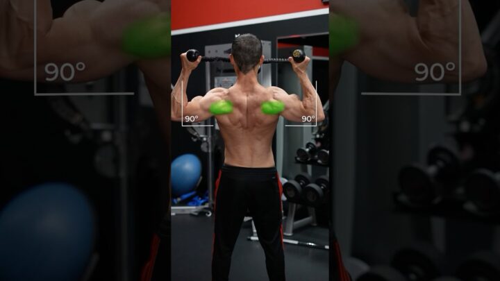 The 3 Greatest Rear Delt Exercises (NOT FLYS!)