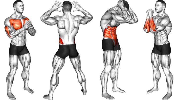 Standing Warm-up Exercises for Beginners