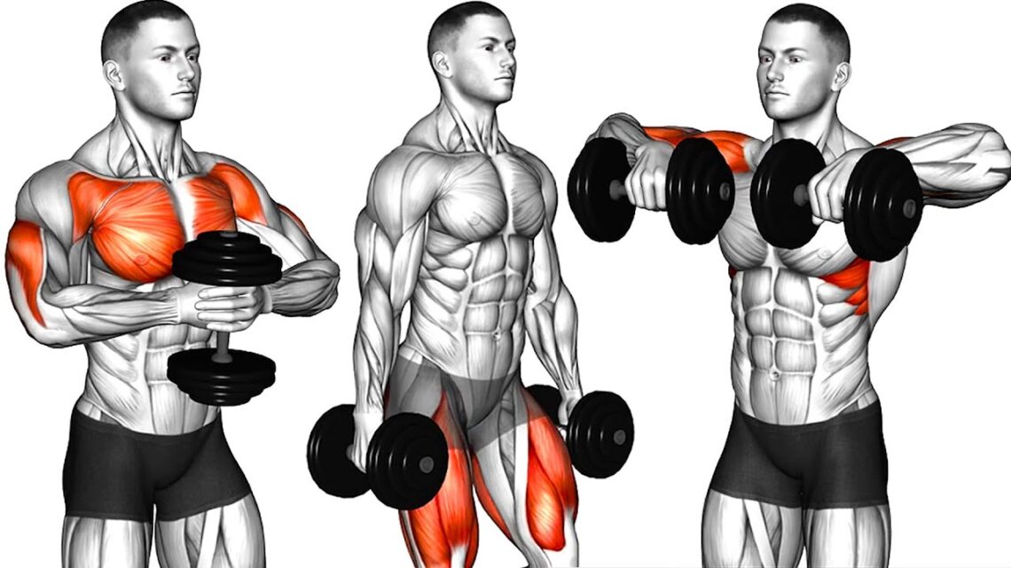 14 Dumbbell Exercises for Full Body to Build Muscle
