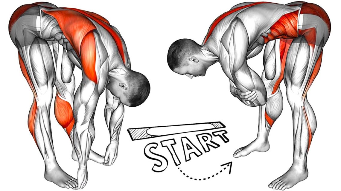 Do This Warm-up and Stretching Routine Every Morning