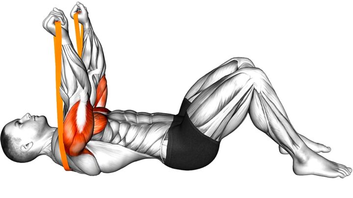 Stay Active with These Resistance Bands Exercises