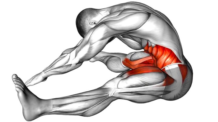 Do These Exercises in The Morning!
