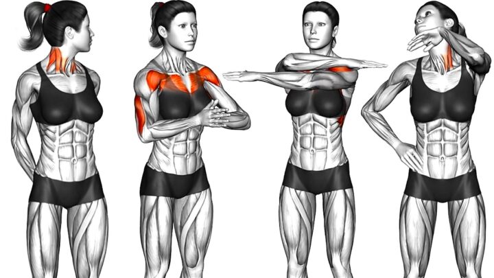 Bodyweight Upper Body Workouts for Women