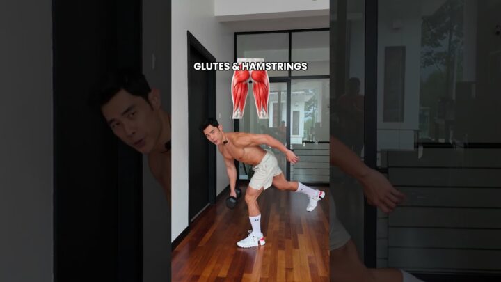 Only ONE dumbbell once a week full body routine