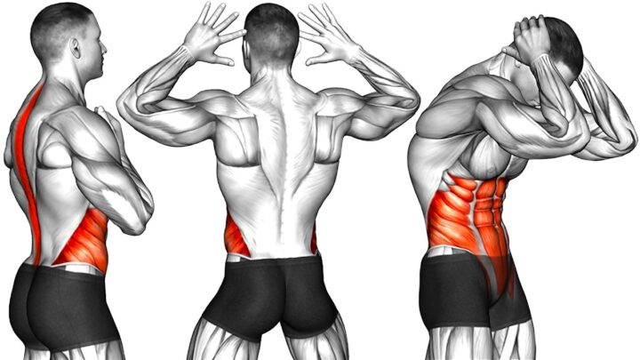 DO THIS Exercise Every Morning