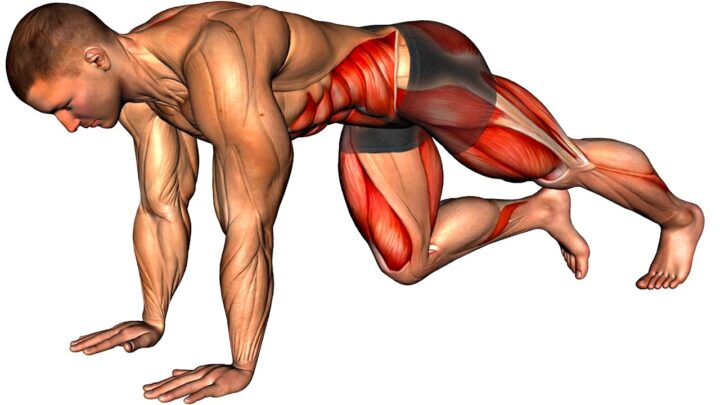 Sculpted V-Cut Abs (14 Best Exercises for Obliques)