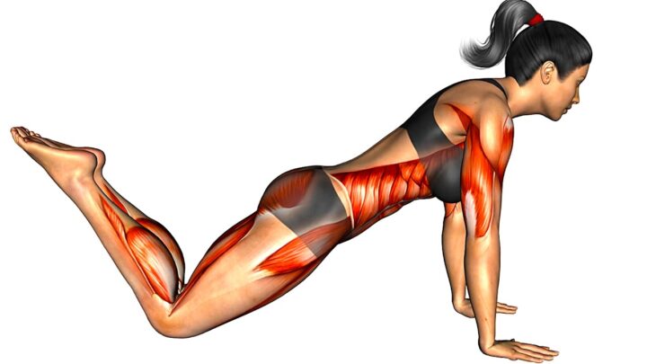 12 Best Morning Stretches to Boost Your Energy