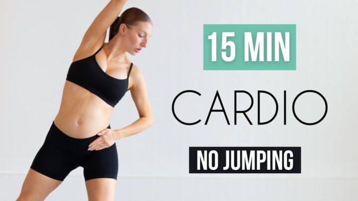 15 Min No Jumping Cardio Workout  Pregnancy Friendly, No Repeats