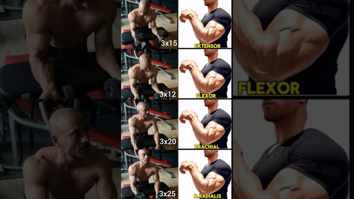 “Best Forearm Workout Variations for Bigger, Stronger Arms!”#shorts #fitness #motivation